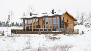 Apartamento, sauna seca, no mezanino (55.5 m2) | 2 quartos, ferros/tábuas de passar roupa, Wi-Fi de cortesia