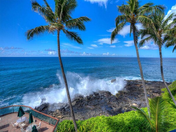 A coastal view with palm trees, a rocky shoreline, and a clear blue sky.