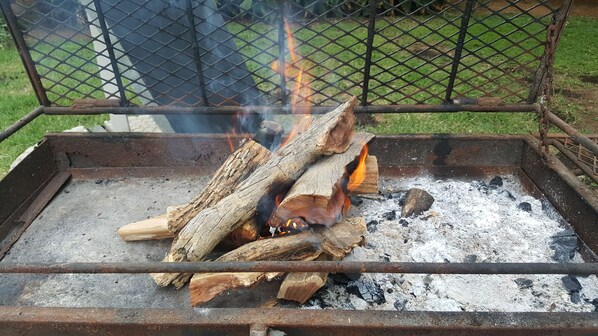 A metal grill with logs and burning embers.