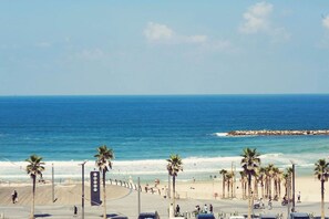 A beachside view with palm trees, a promenade, and the ocean.