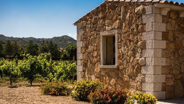 A stone building with a window, surrounded by a vineyard and colorful flowers. - Locanda In Vigna (Arzachena)