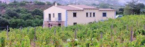 Exterior - Locanda In Vigna (Arzachena)