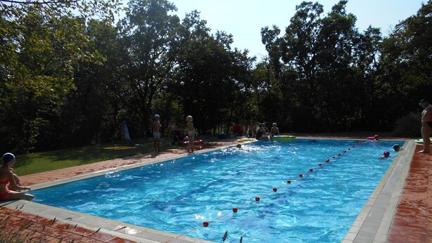 Una piscina rectangular con borde de azulejos, rodeada por un suelo de ladrillo.