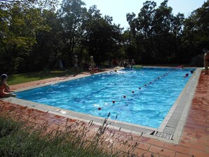 Ein rechteckiger Pool mit einer gefliesten Kante, umgeben von einer Ziegelterrasse.
