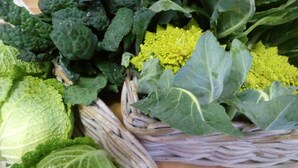 Una cesta de mimbre llena de diversas verduras de hoja, como col rizada y brócoli, sobre una superficie de madera.