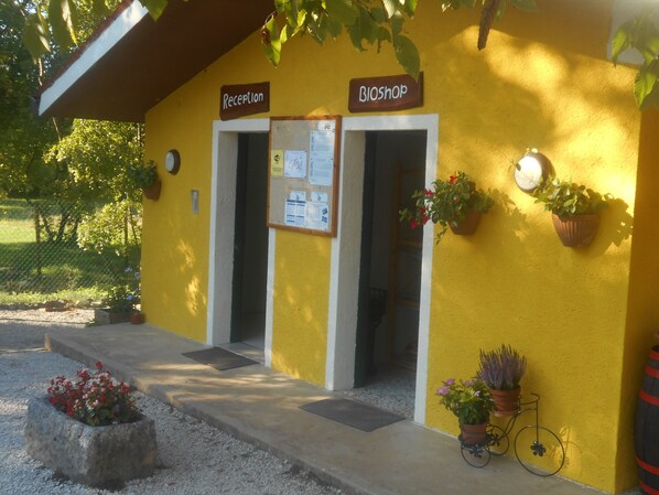 Un espace d’accueil avec un mur jaune, deux portes portant les inscriptions « Réception » et « Bioshop », un tableau d’affichage et des plantes en pot.