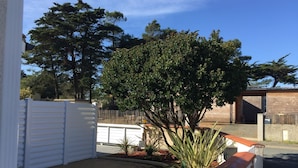 Un jardin arrière d’une maison, avec une zone délimitée par une clôture, un arbre et un petit potager.
