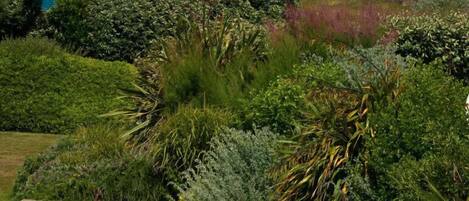 ビーチ / オーシャン ビュー