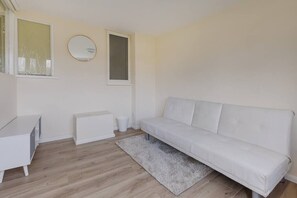 Flachbildfernseher, Arbeitsbereiche