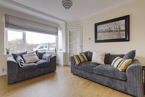 Flachbildfernseher, Arbeitsbereiche