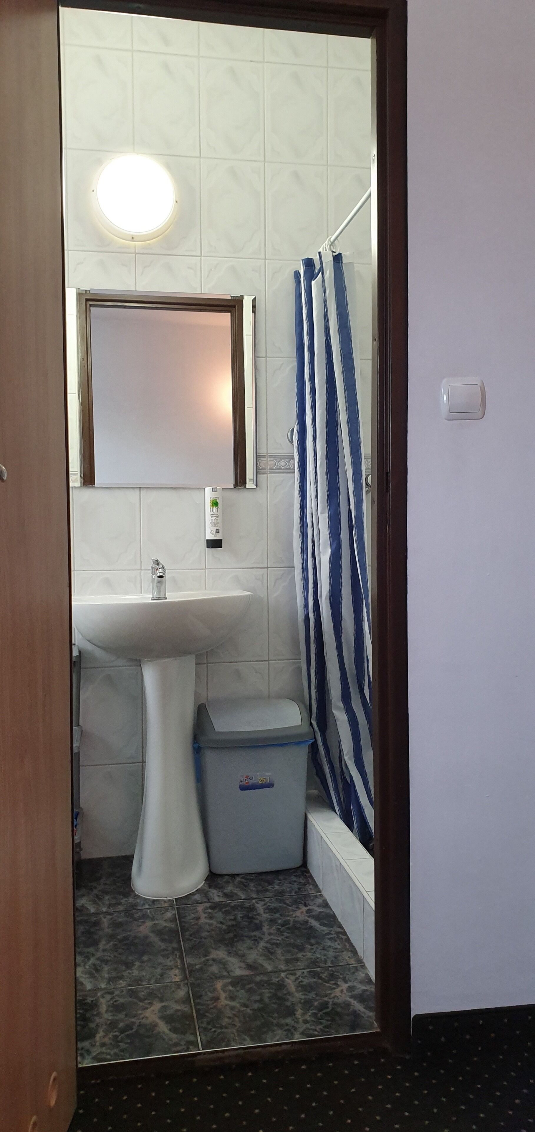 A bathroom with a pedestal sink, a toilet, a shower curtain, and a mirror above the sink.
