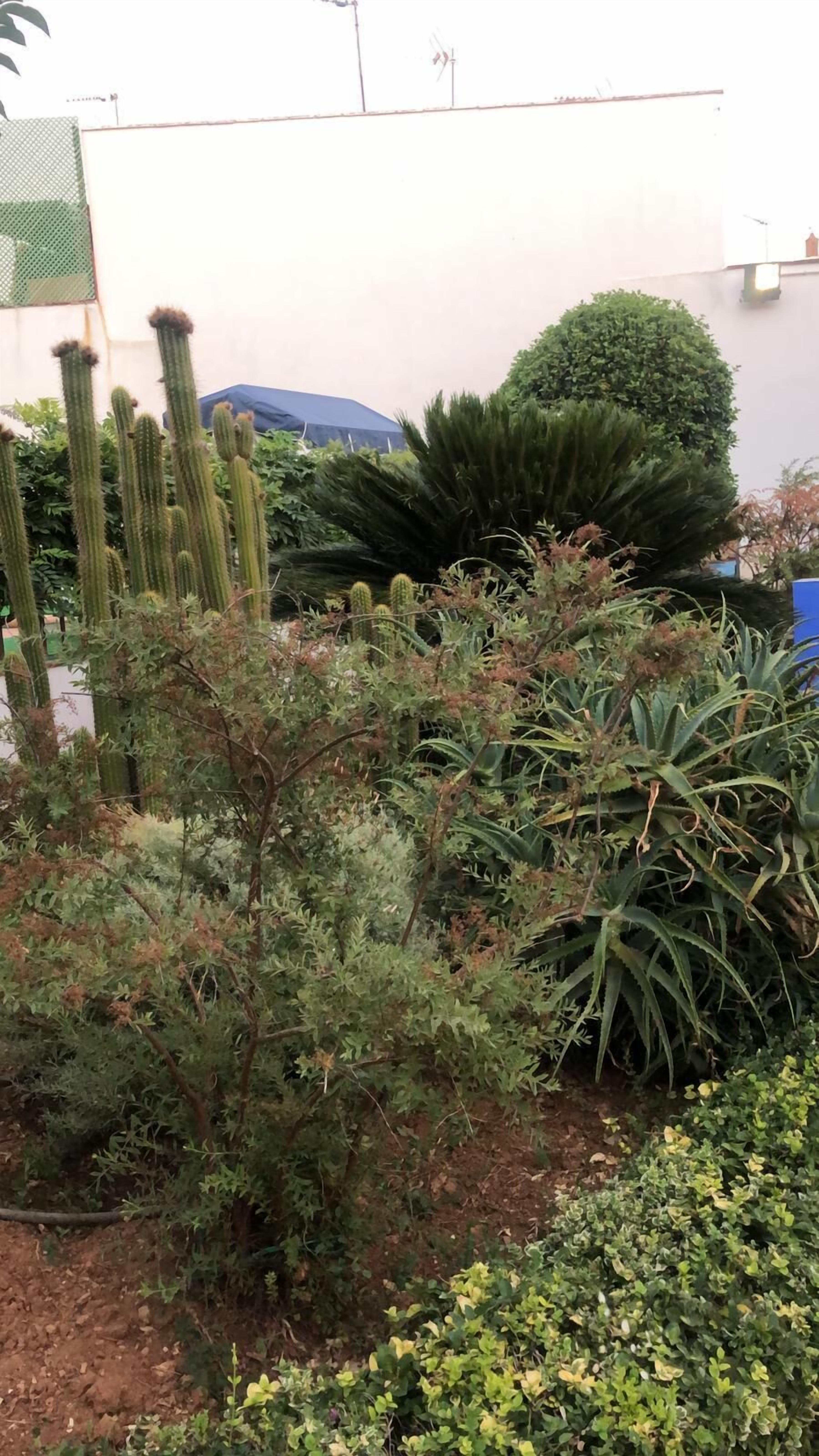 Foto - Hotel La Muralla