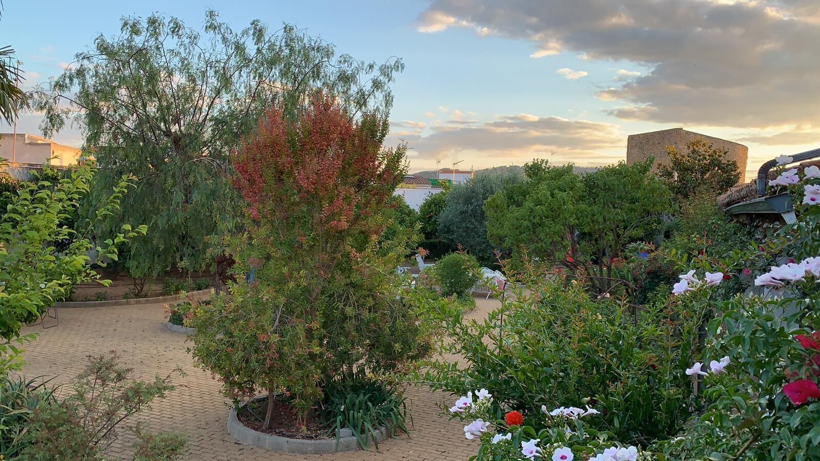 Foto - Hotel La Muralla