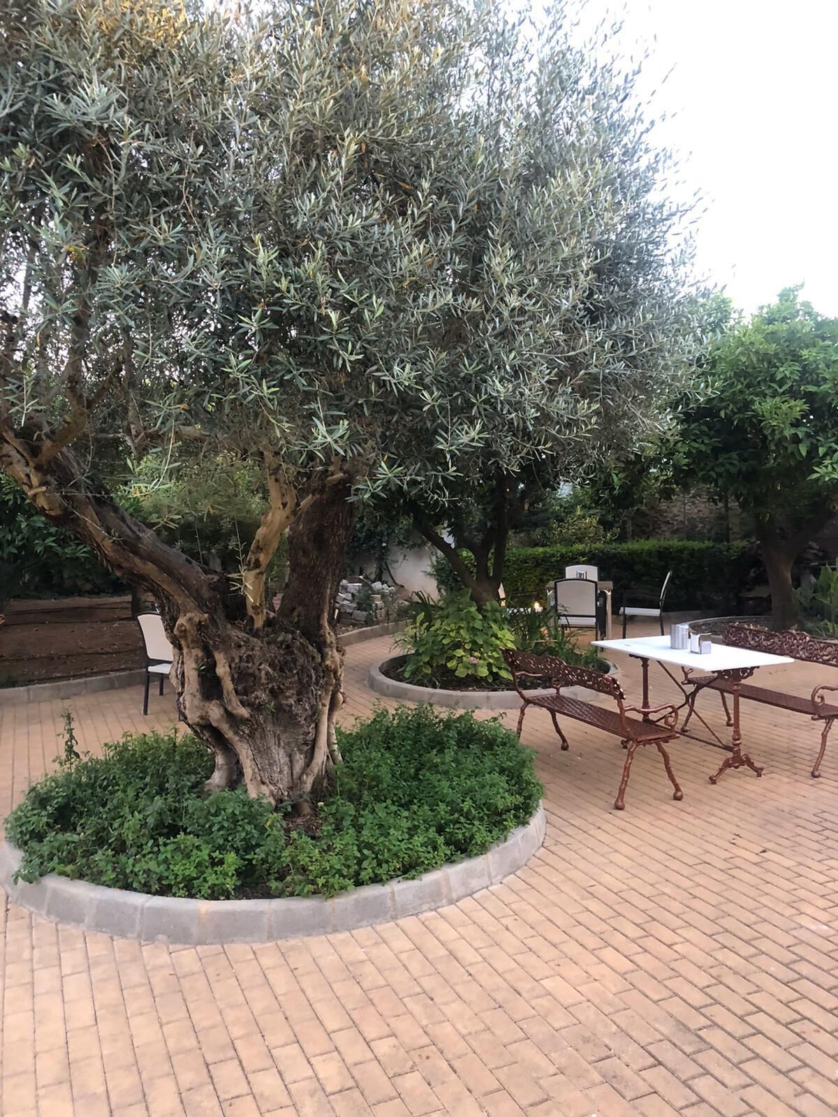 An outdoor seating area with a table and benches, surrounded by a brick pathway and greenery.
