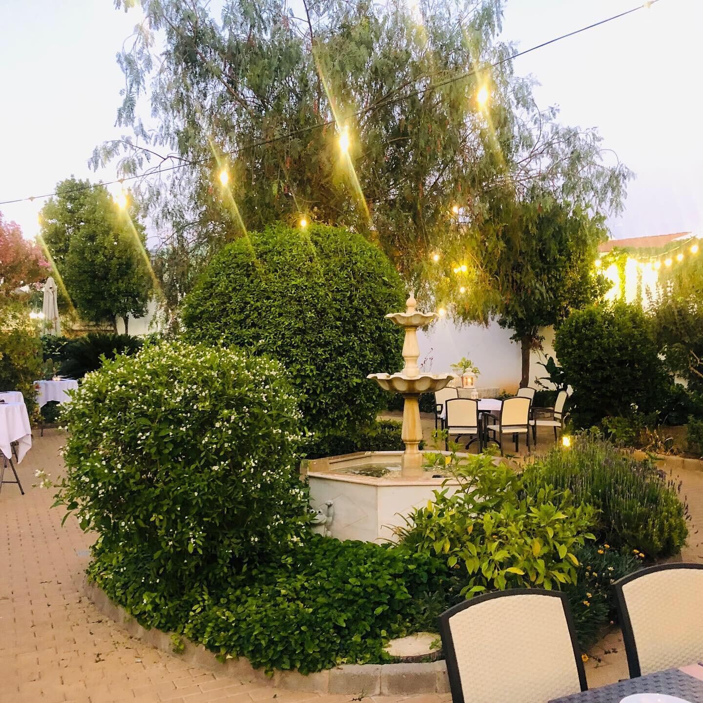 A garden with a fountain, tables, and chairs, surrounded by greenery and trees.