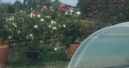 Ferienwohnung mit Pool nahe Frankfurt