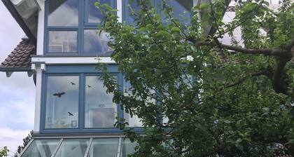 Apartment with pool near Frankfurt