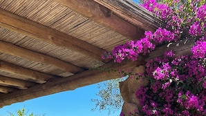 Een pad van stenen leidt naar een houten pergola, versierd met levendige paarse bloemen.