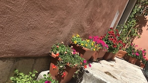 En rad terrakotta-blomkrukor med olika sorters färgstarka blommor, placerade framför en vägg med en tydlig struktur.