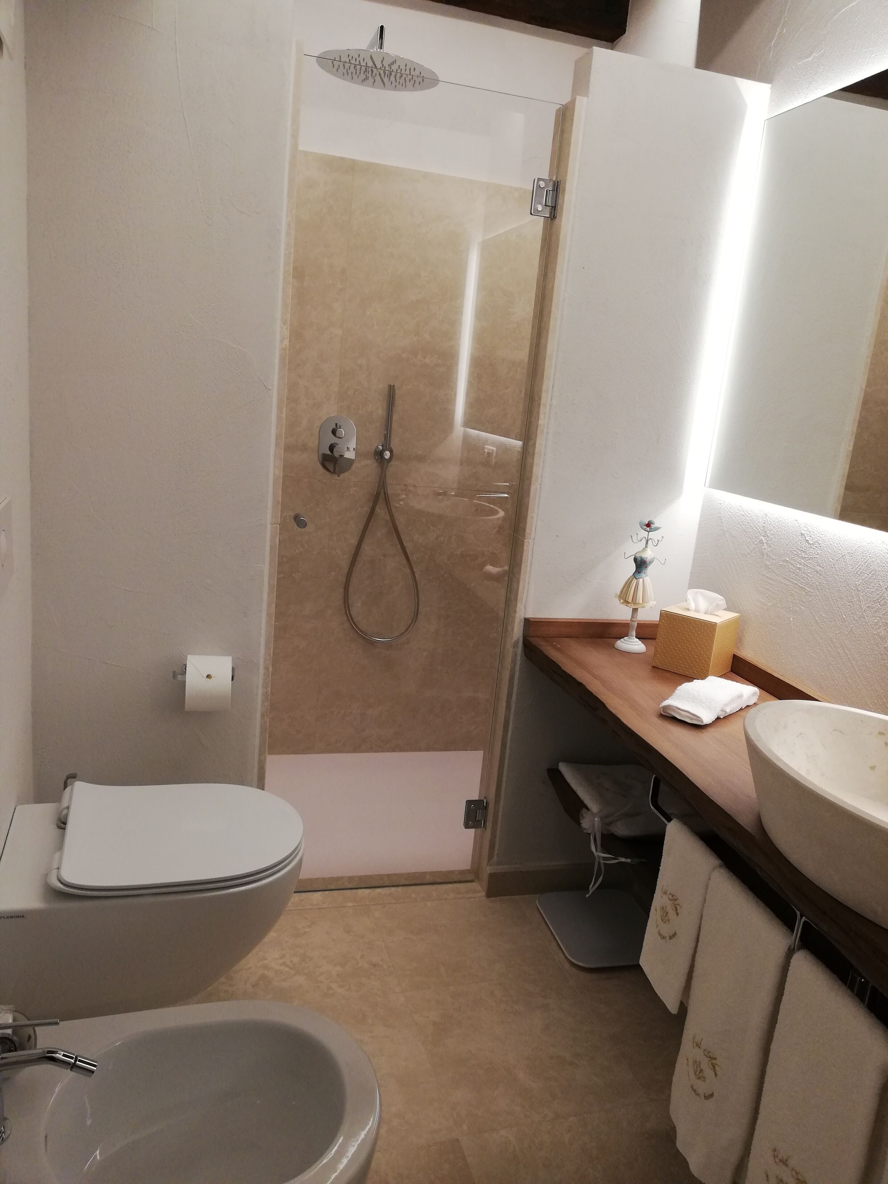 Bathroom shower