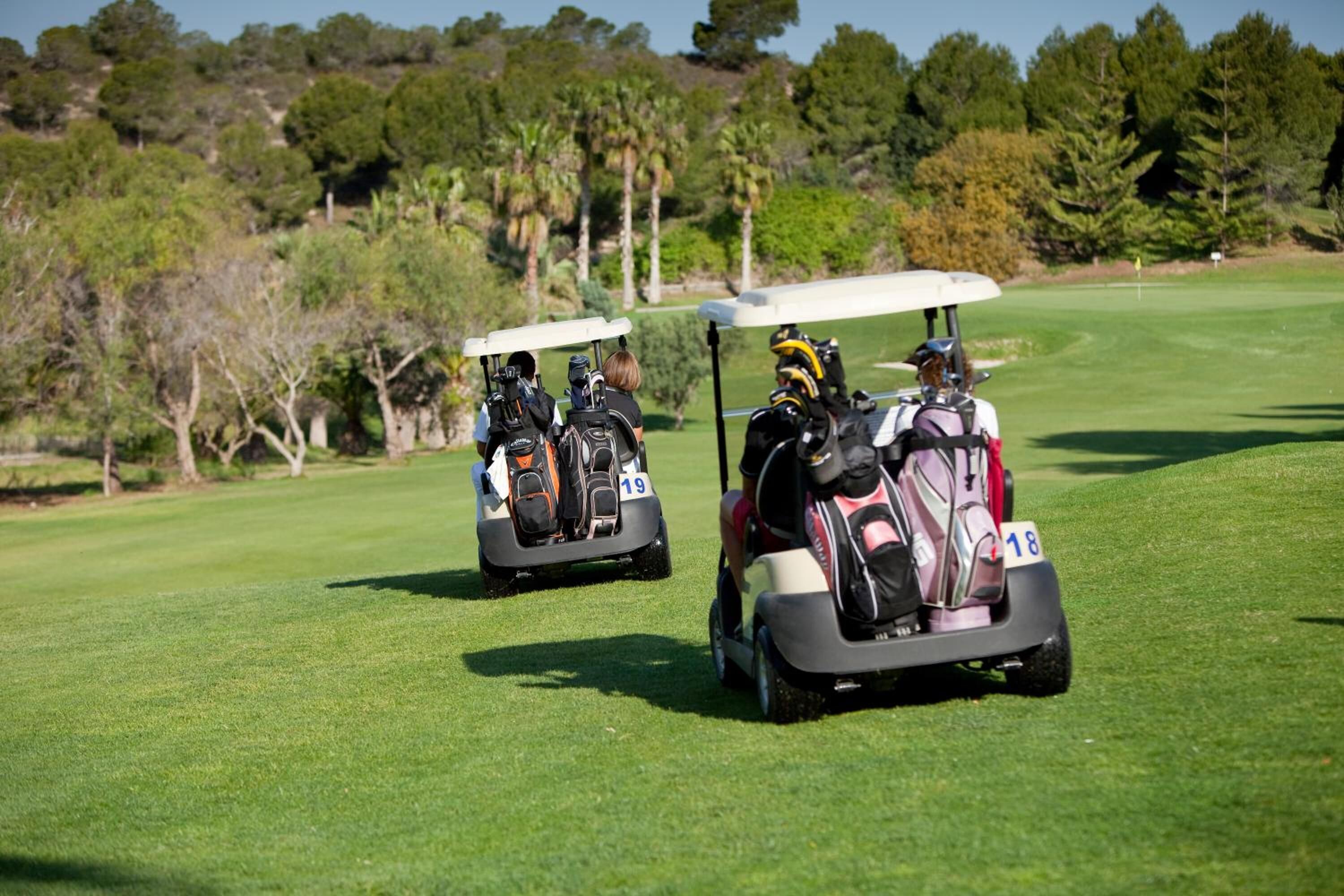 Um carrinho de golfe em um campo de golfe bem cuidado, com céu claro e árvores ao fundo.