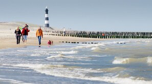 A beach with a lighthouse and wooden breakwaters. - Nicely furnished house, directly by the sea. With your feet in the sand within 1 minute. (Breskens)