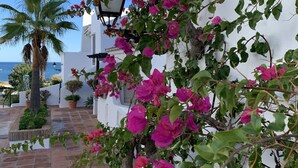 A white building with pink bougainvillea vines, a palm tree, and a street lamp.