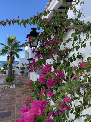 Details aan de buitenkant