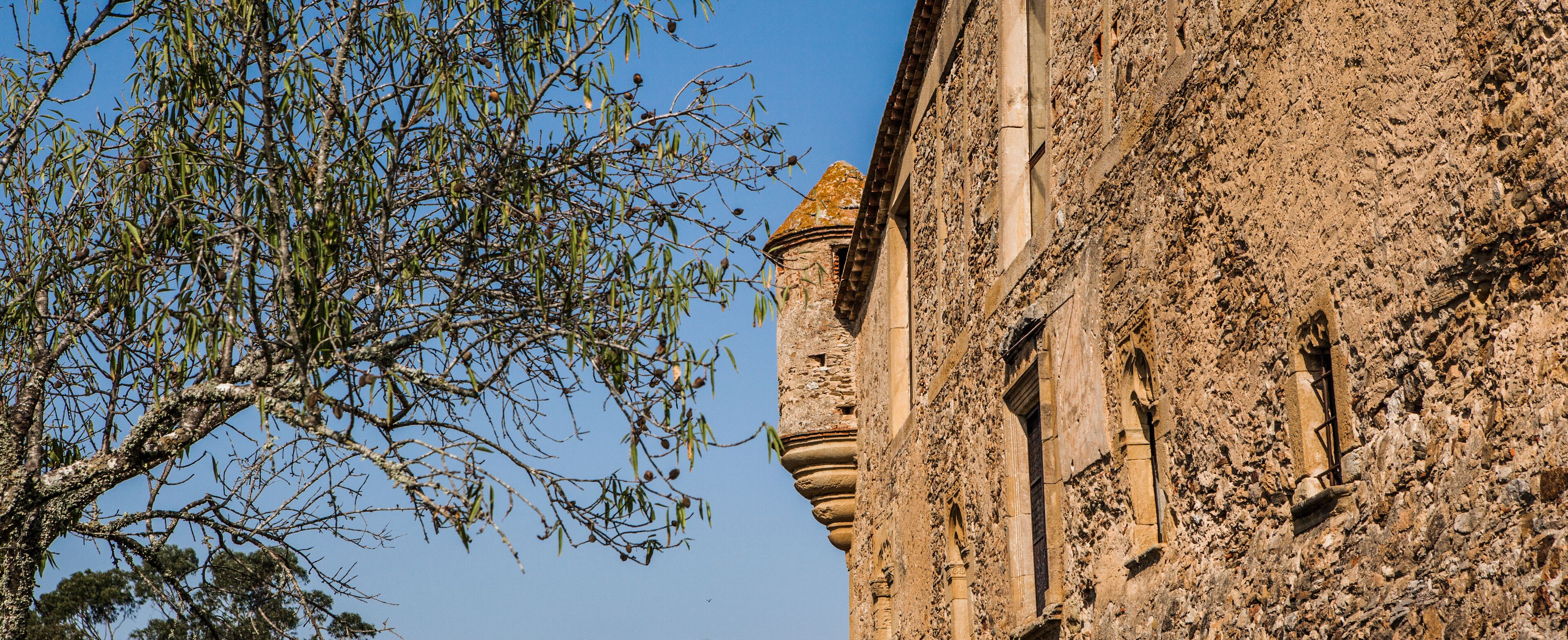 Foto - Flateli Ses Garites