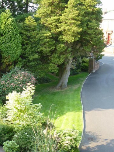 Somerton House Hotel