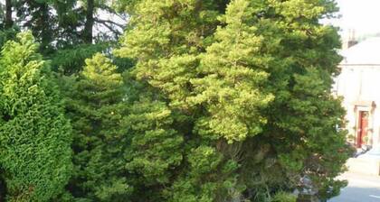 Somerton House Hotel