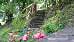 A stone staircase with wooden railings leading up a grassy slope. - Agriturismo Chieteno (Cetona)