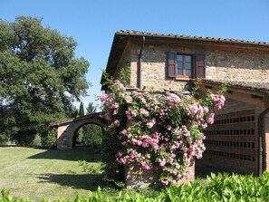 Garden - Agriturismo Palazzo Bello (Cetona)