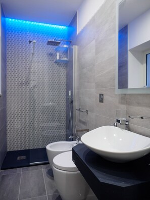 Shower, hair dryer, bidet, towels