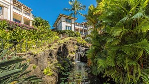A lush garden with a waterfall, tropical plants, and a pool with lily pads.