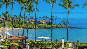 A beachfront resort with palm trees, a pool, and ocean views.