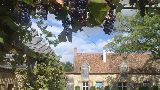 A stone building with a tiled roof, a wooden door, and a window. - Domaine Bonneblond - Tentes Glamping (Saint-Désiré)