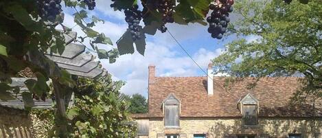 Terrain de lâhĂ©bergement