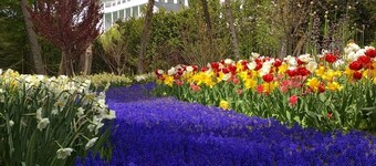 Quaint Cottage with a Private Dock on Paradise Lake