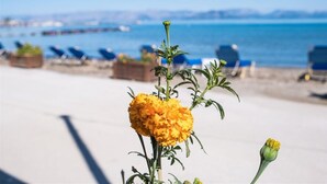 A beach with a chair in the foreground and a view of the sea in the background. - Christina Hotel Petriti (Corfu)