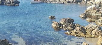 Cave à vin FLORENCE