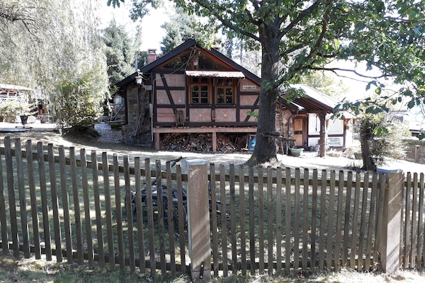 Willkommen im Vogelsberg