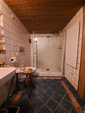 Duschwanne, Haartrockner, Handtücher, Toilettenpapier