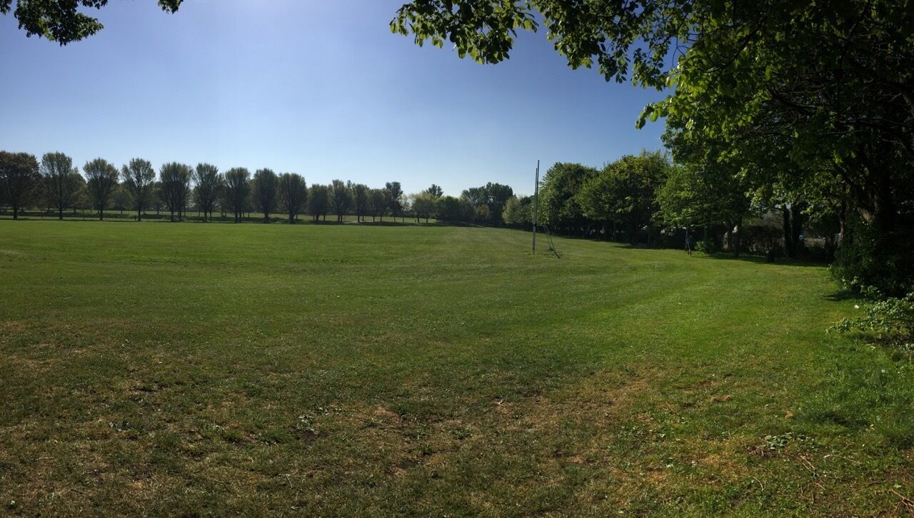 A large, open grassy field with trees in the background.