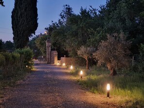 A gravel path leading to a gated entrance surrounded by trees and shrubs.