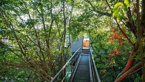 Uma ponte de madeira numa área arborizada que leva a um edifício com cozinha visível.