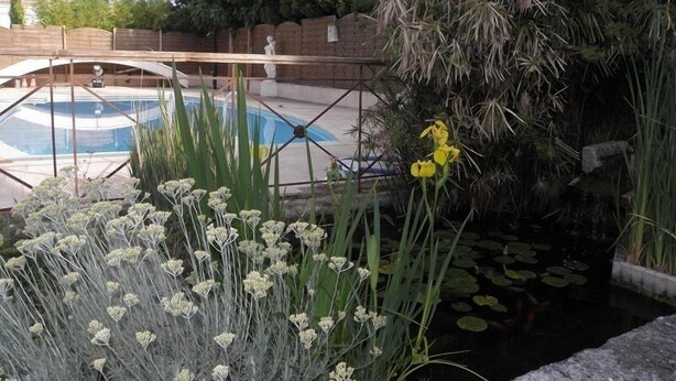 A pool area with a wooden bridge, a statue, and various plants. - Provence Roulottes Hébergement insolite (Barbentane)