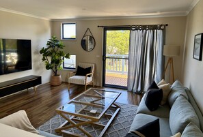 TV, video library, stereo