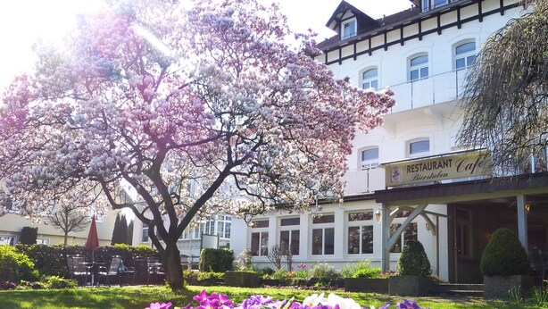 Exterior - Hotel Villa Luise (Bad Rothenfelde)