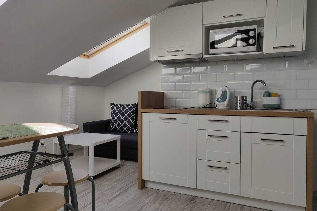 Appartement (C) | Coin cuisine privé | Réfrigérateur, micro-ondes, plaque de cuisson, cafetière/bouilloire